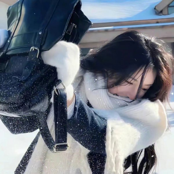 双花镜
